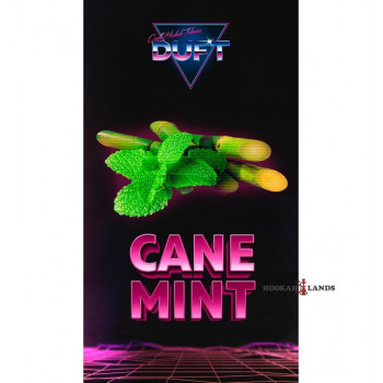 Табак Duft Cane Mint (Тростниковая мята)  100 гр.