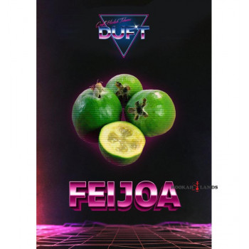 Табак Duft Feijoa (Фейхоа)  100 гр.