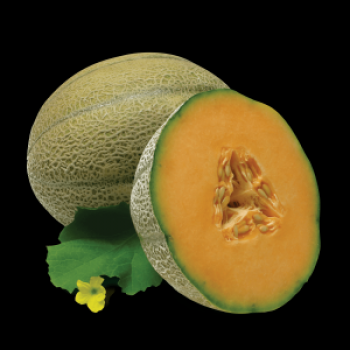 Табак Fumari – Ambrosia (Дыня)  100 гр.