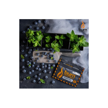 Табак для кальяна Burn Blueberry mint (Черника с мятой) 100г