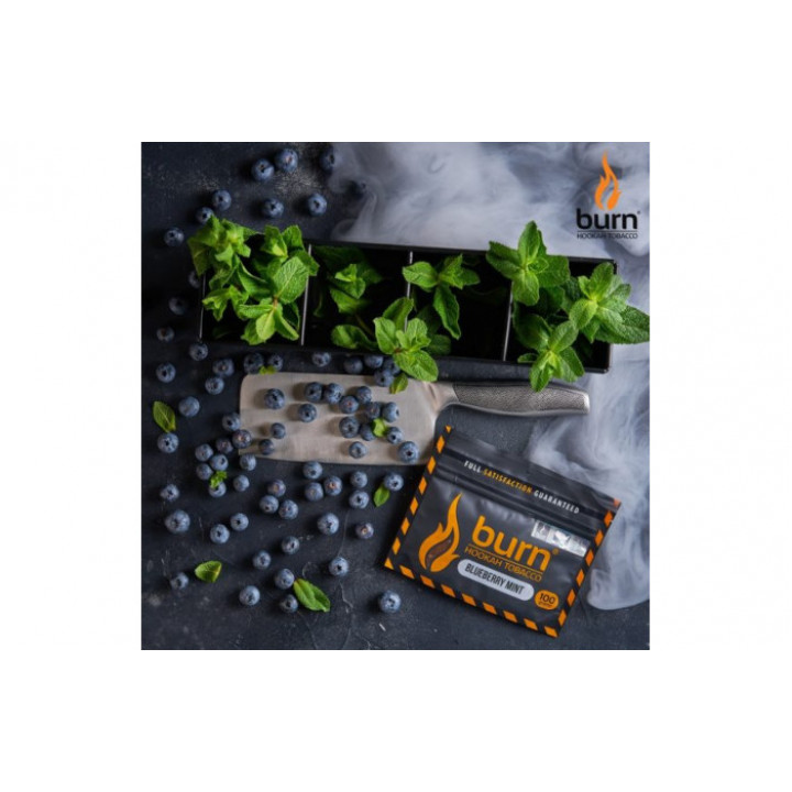 Табак для кальяна Burn Blueberry mint (Черника с мятой) 100г