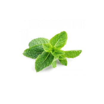 Табак Tangiers 100 г - BIRQUQ Cane Mint (Тростниковая мята)