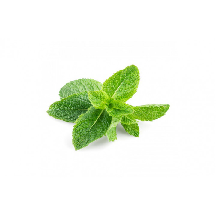 Табак Tangiers 100 г - BIRQUQ Cane Mint (Тростниковая мята)