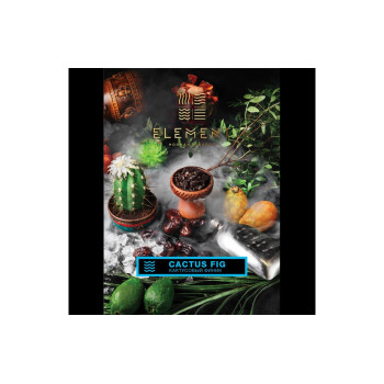 Табак для кальяна Element Вода Cactus Fig (Кактусовый финик) 100г