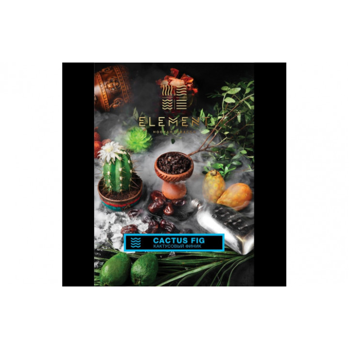 Табак для кальяна Element Вода Cactus Fig (Кактусовый финик) 100г