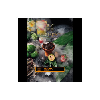Табак для кальяна Element Земля Feijoa (Фейхоа) 100г