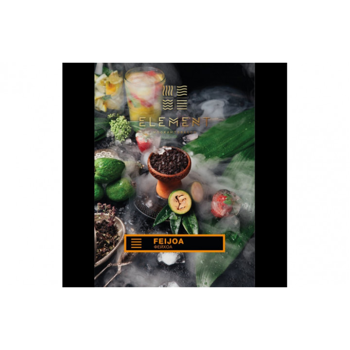 Табак для кальяна Element Земля Feijoa (Фейхоа) 100г