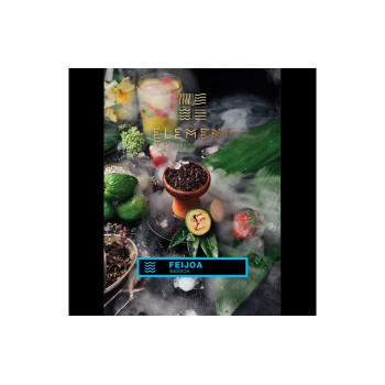 Табак для кальяна Element Вода Feijoa (Фейхоа) 100г