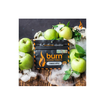 Табак для кальяна Burn Famous Apple (Ледяное яблоко) 20г