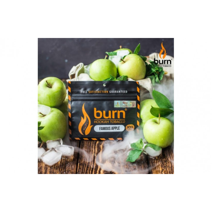 Табак для кальяна Burn Famous Apple (Ледяное яблоко) 20г