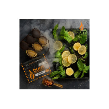 Табак для кальяна Burn Lemon Mint (Лимон мята) 100г