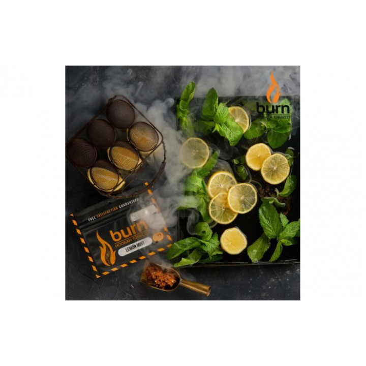 Табак для кальяна Burn Lemon Mint (Лимон мята) 100г