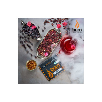 Табак для кальяна Burn Red Mix (Красный чай черная смородина) 100г