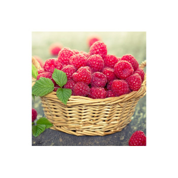 Табак Tangiers 250 г - SPECIAL EDITION New Raspberry (Новая Малина)