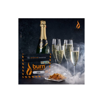 Табак для кальяна Burn USSR (Шампанское) 20г