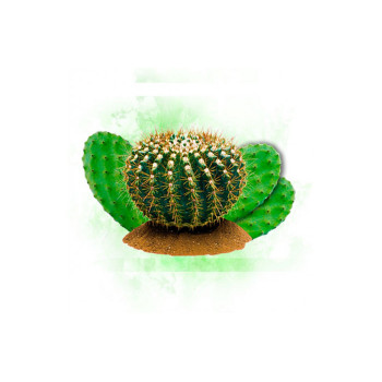 Табак Krass Light Cactus Squash (Кактус) 100г