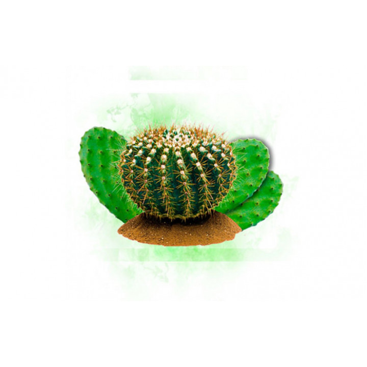 Табак Krass Light Cactus Squash (Кактус) 100г