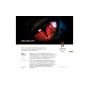 Табак для кальяна Satyr Dragon Eye (Личи) 100г
