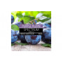 Табак Spectrum Purple Plums (Слива) 100г