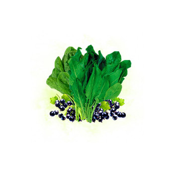 Табак Krass Light Sorrel Tart (Щавель смородина) 100г