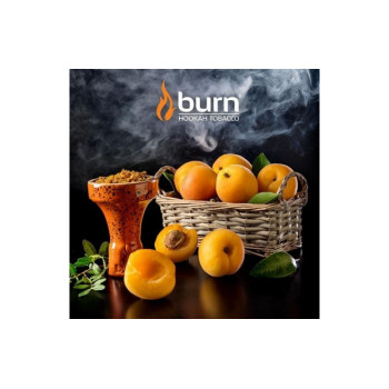 Табак для кальяна Burn Juicy Apricot (Спелый абрикос) 100г