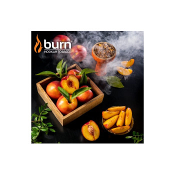 Табак для кальяна Burn Nectarin (Нектарин) 100г